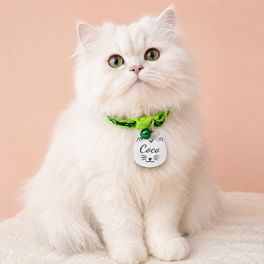 Cat Identity Tag + Collar