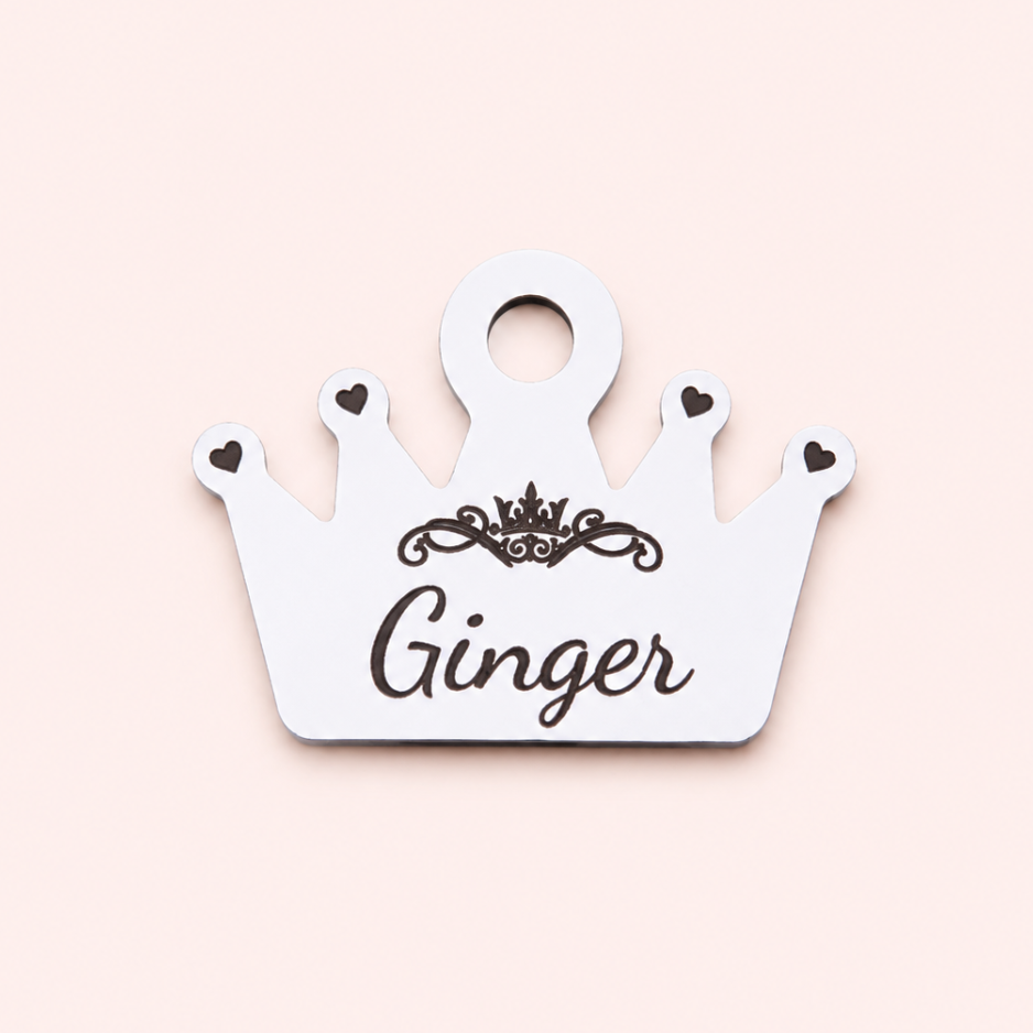 Cat Identity Tag + Collar