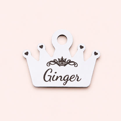 Cat Identity Tag + Collar