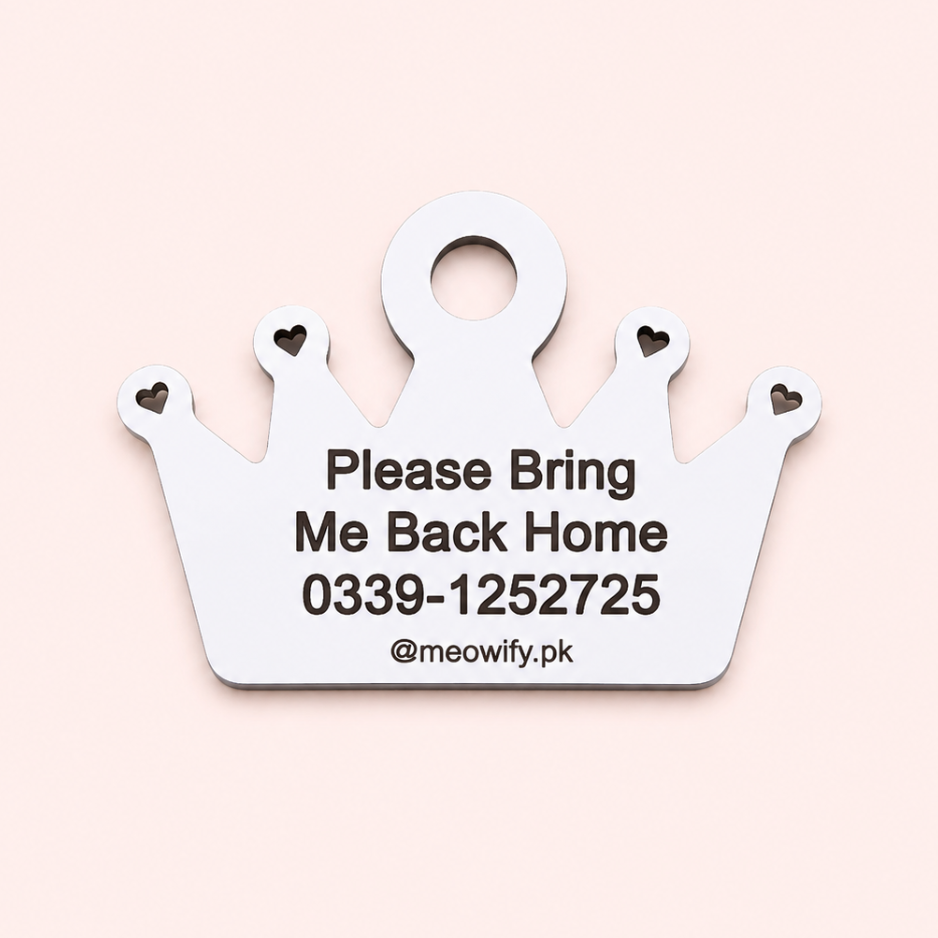 Cat Identity Tag + Collar