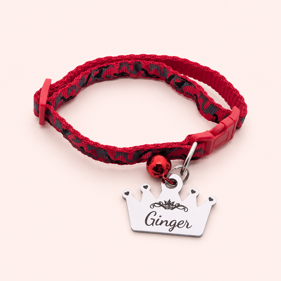 Cat Identity Tag + Collar