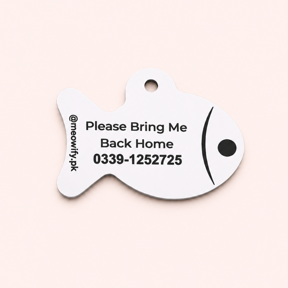 Cat Identity Tag + Collar