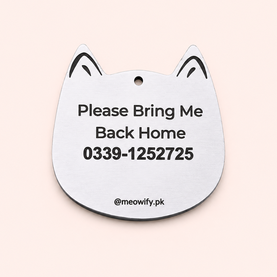 Cat Identity Tag + Collar