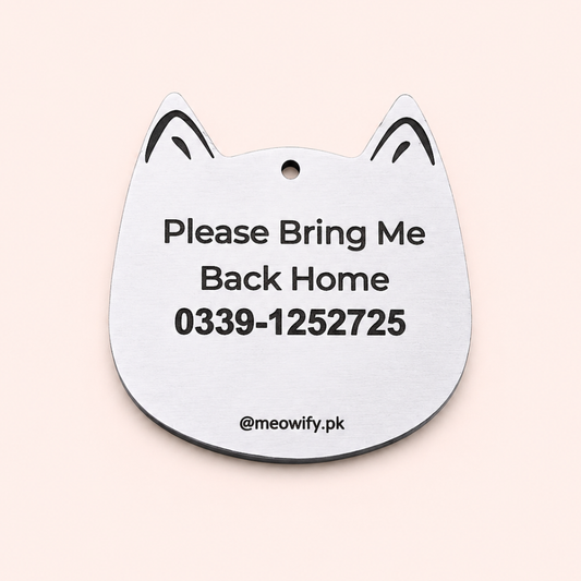 Cat Identity Tag + Collar