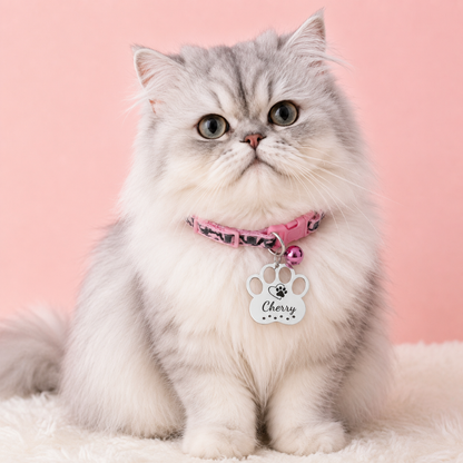 Cat Identity Tag + Collar