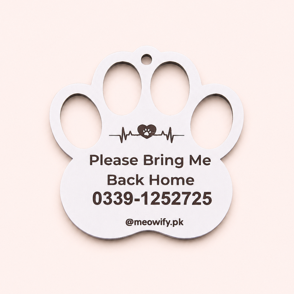 Cat Identity Tag + Collar