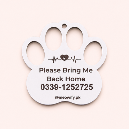 Cat Identity Tag + Collar