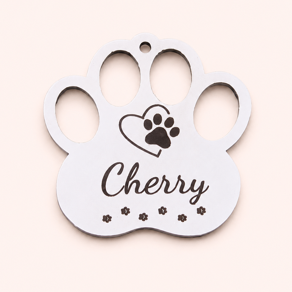 Cat Identity Tag + Collar
