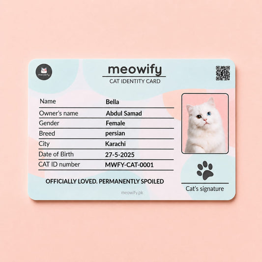 Cat Identity Card