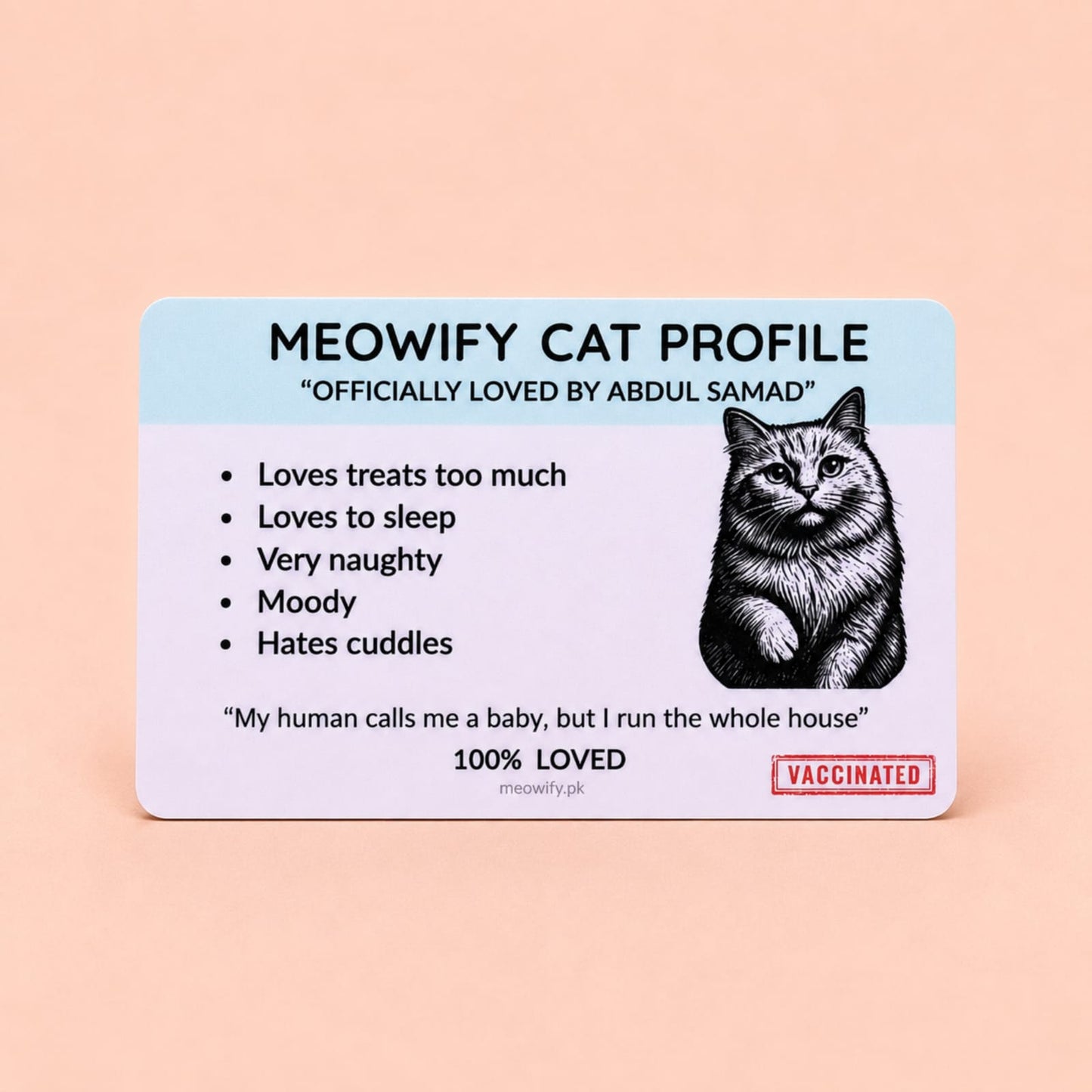 Cat Identity Card