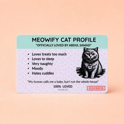 The Full Story Bundle