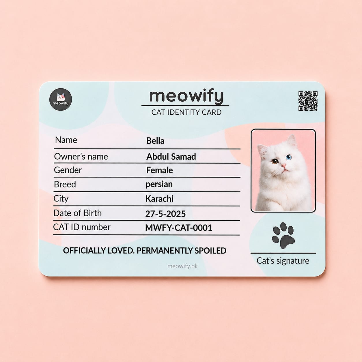 The Complete Meowify Bundle