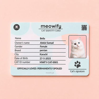 The Complete Meowify Bundle