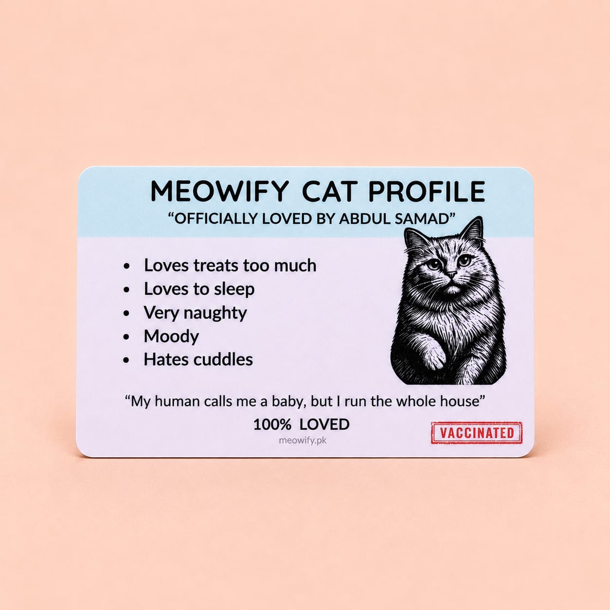 The Complete Meowify Bundle