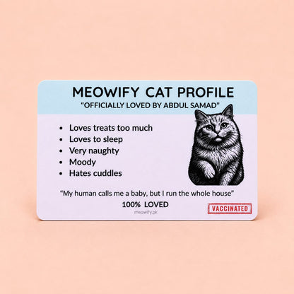 The Complete Meowify Bundle