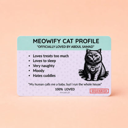 The Complete Meowify Bundle