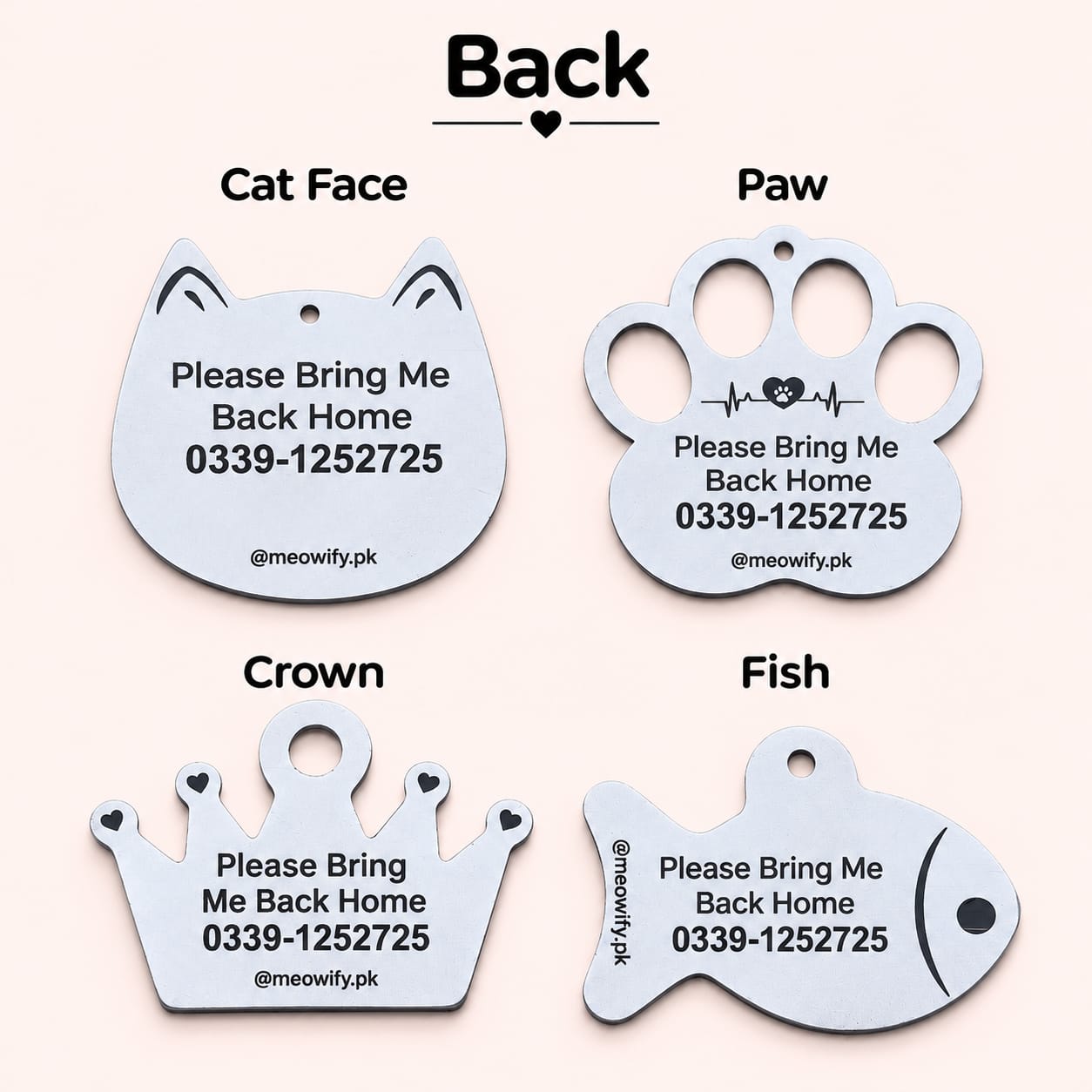 The Complete Meowify Bundle