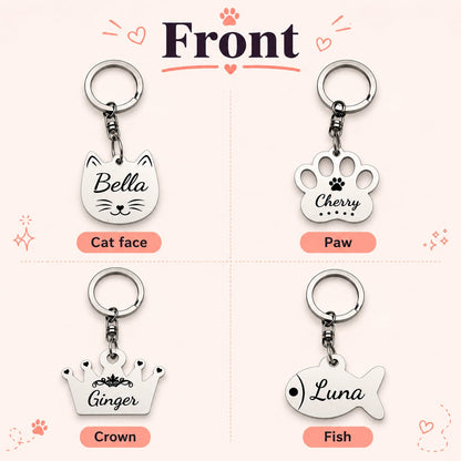 The Complete Meowify Bundle